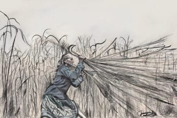 SAVE20211001155121 | MR Onlinenbsp | A woman working in the korai fields where women often work from a young age to earn a living Illustration Junaina Muhammed India Young Socialist Artists Reference photo M Palani Kumar Peoples Archive of Rural India PARI Tamil Nadu April 2021 | MR Online