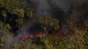 Aerial image of a wildfire near the JacundĂĄ Flona in RondĂŽnia | MR Online | Aerial image of a wildfire near the JacundĂĄ Flona in RondĂŽnia | MR Online
