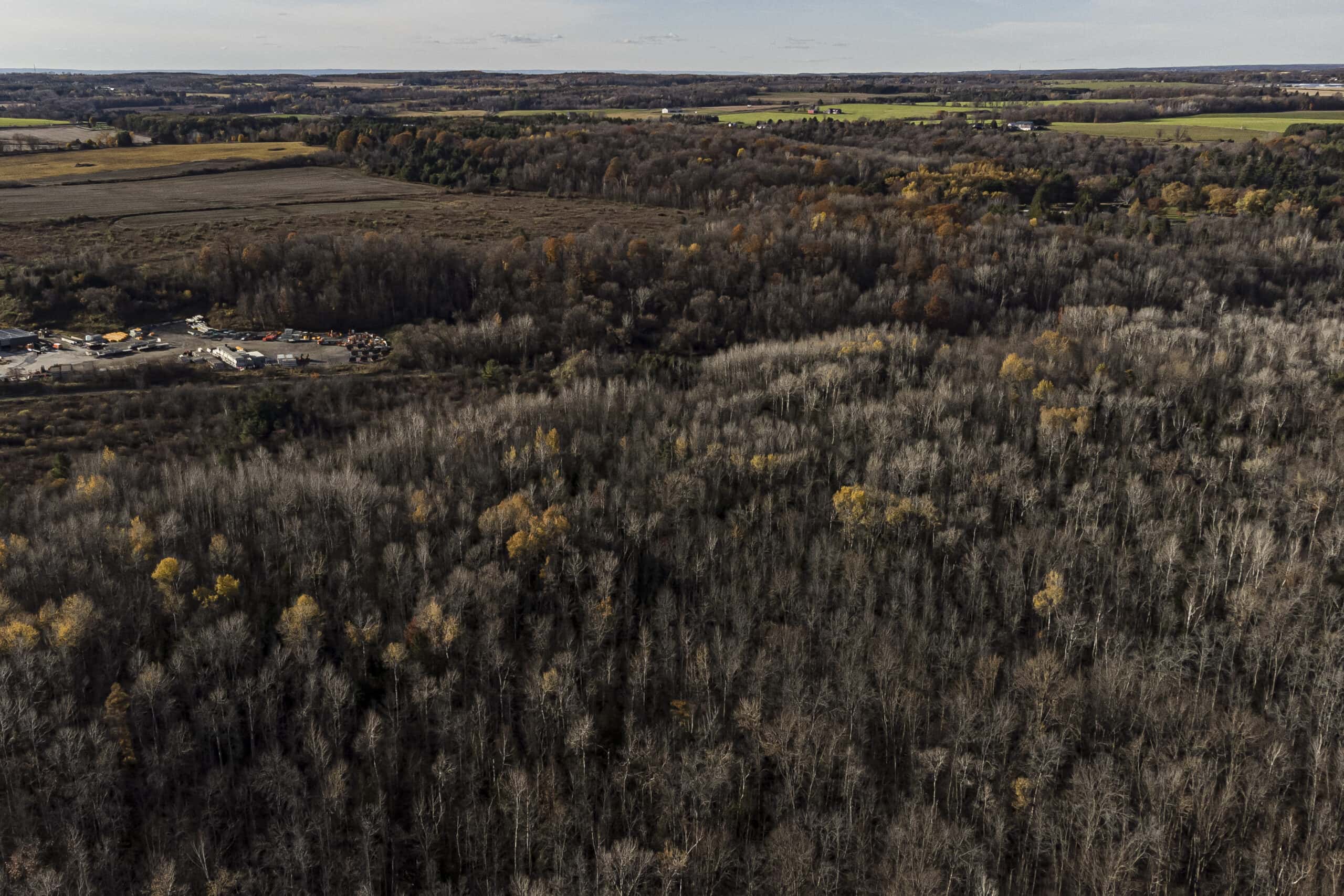 Aerial view of forest and farmland
