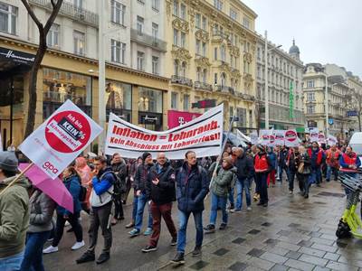 IMG demo Austria