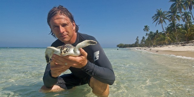 J Nichols on Why We Should Save Sea Turtles and Why Our Brains Need the Ocean â sergededina